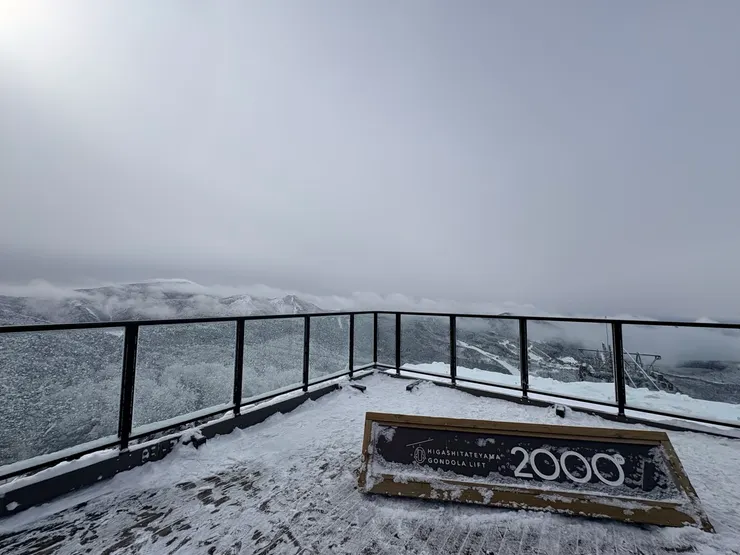 連成一片的雪景,天空灰濛濛,雪也灰濛濛