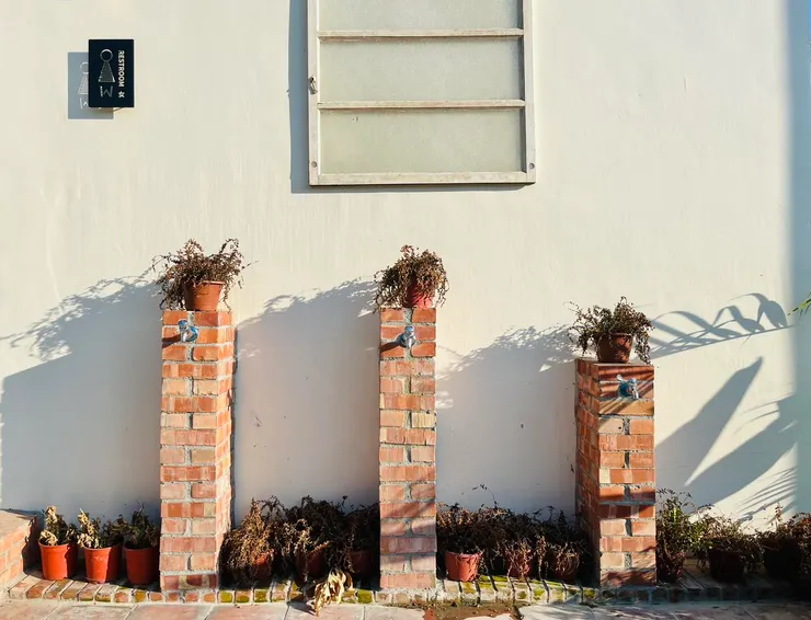 有沒有將一件事情放在心上,自然是看得出來的。