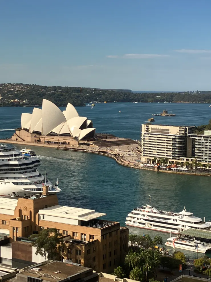 每天看著雪梨歌劇院及小船們真療癒