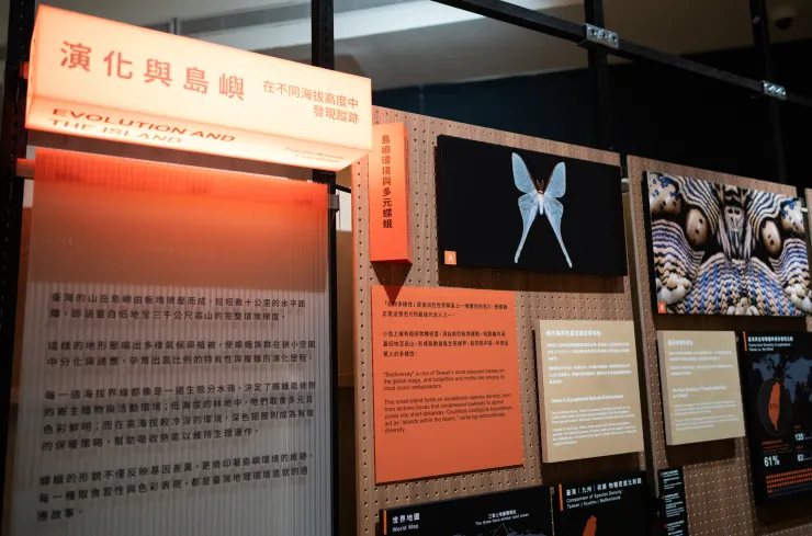 從蝶蛾論台灣的生物多樣性