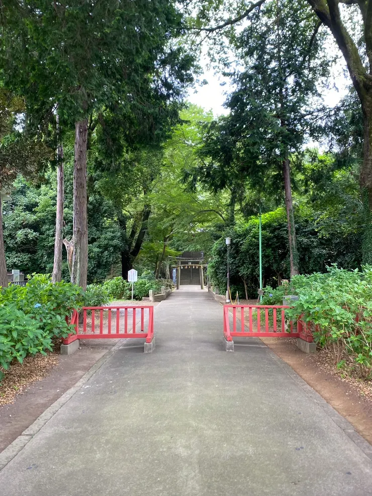 仙波東照宮蓋在小山丘上,穿過隨身門後是筆直參道,後拾階而上。