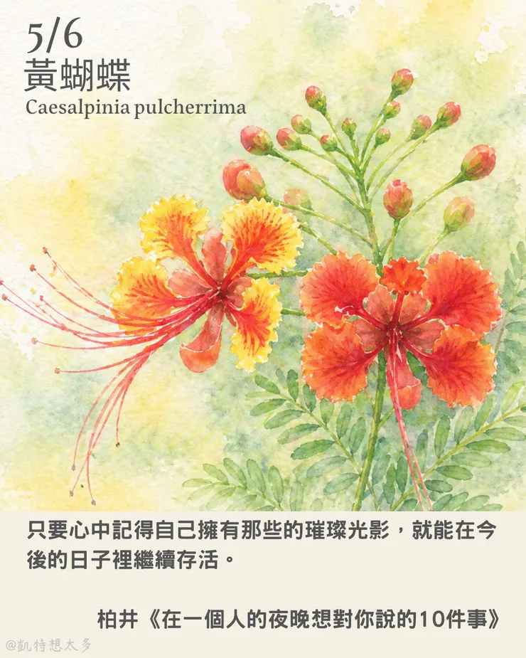 黃蝴蝶×柏井《在一個人的夜晚想對你說的10件事》