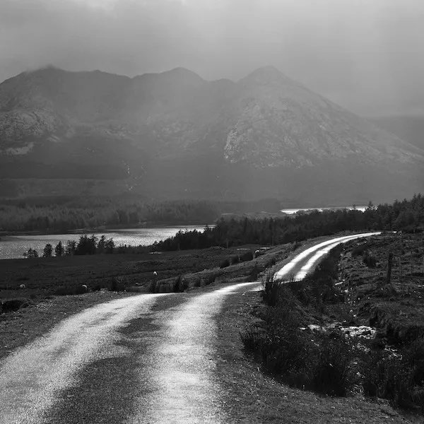 Photo by David Whyte  (Lough Inagh, Connemara, Ireland)
