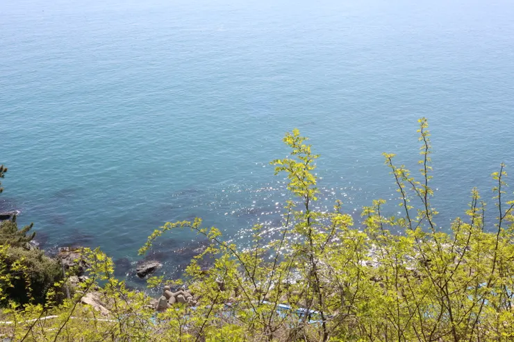 白淺灘文化村 ＠夏夏