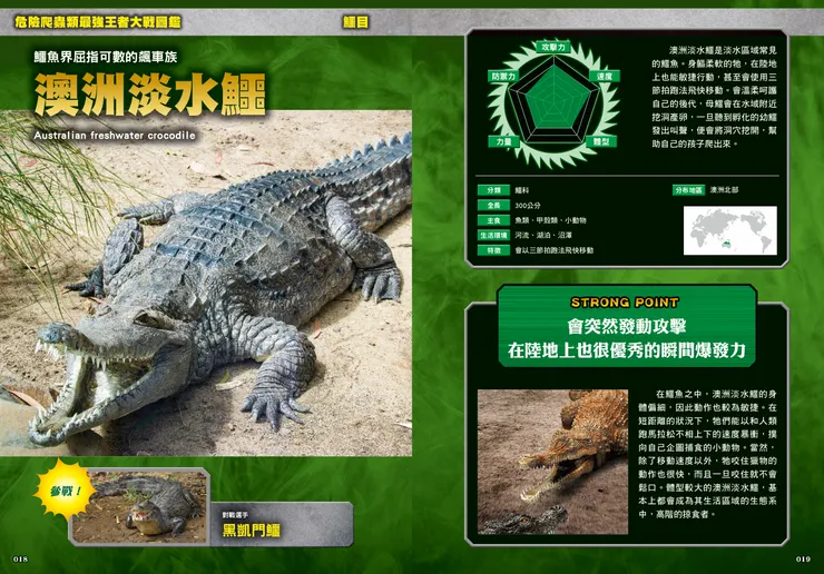 澳洲淡水鱷｜最強戰鬥6 危險爬蟲類 最強王者大戰圖鑑｜小角落文化