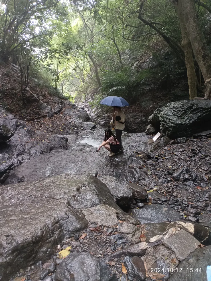 曲水穿石下高樹，自拍攝