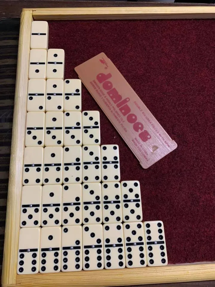 晚上和主人一起玩桌遊