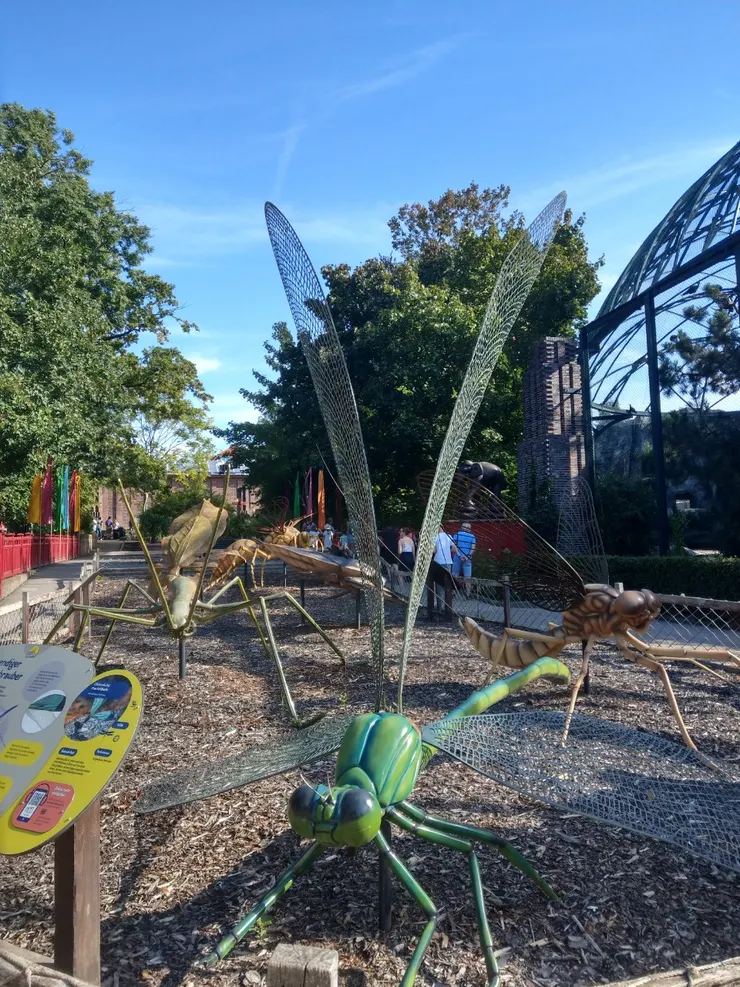 戶外有放大百倍以上的昆蟲模型