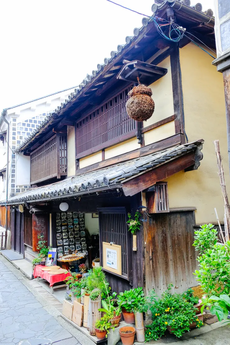 已變成茶色的杉玉，表示酒已釀造好啦!