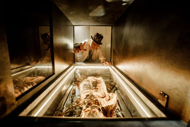 圖片來源:Mary Shelley's House of Frankenstein