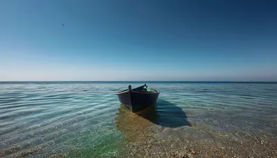 比特幣已經體制化，這件事為何可能成為最大風險？