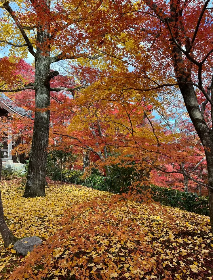 最動人的顏色就在眼前