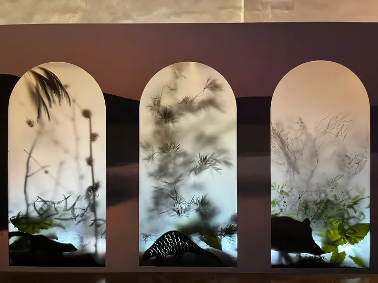 有如置身山林般的展場設計