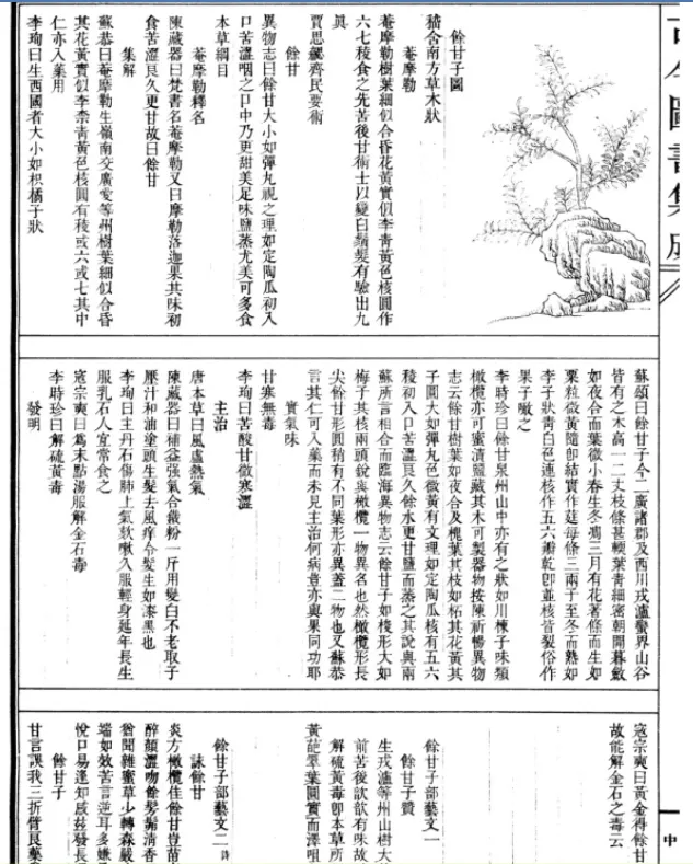 (清)《古今圖書集成》一書所收錄的歷代油甘資料