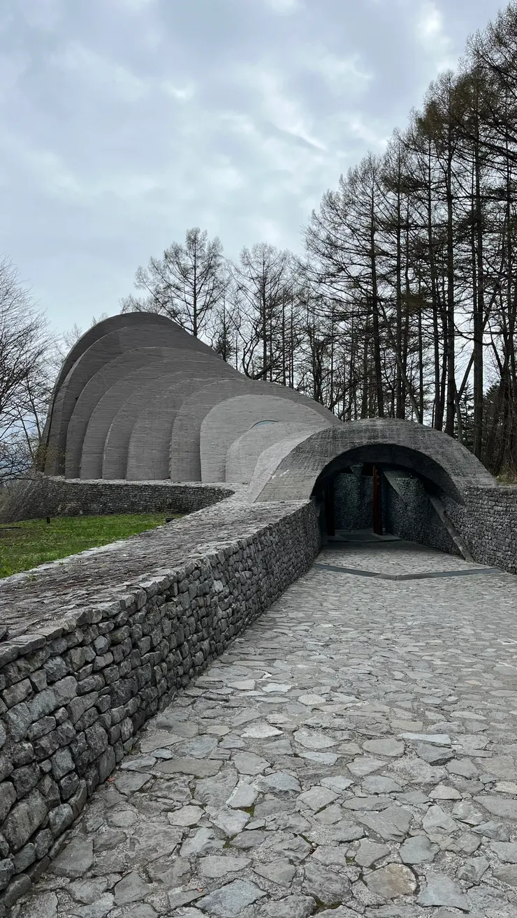 造型相當獨特。