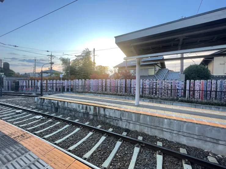 早上的光之森林也有另一種美