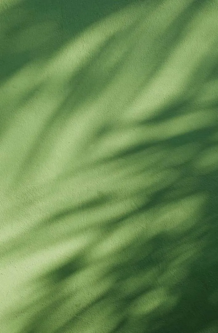 Yi    Peng    Liu的沙龍