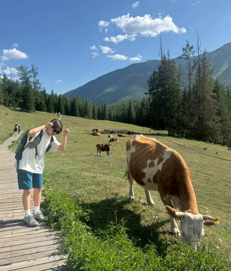 大自然美景加上牛群,喀納斯太讓人永生難忘啊!難怪有人一年四季都來探訪不同風貌的新疆