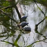 我的痞客幫部落格(大部分文章在那裡)