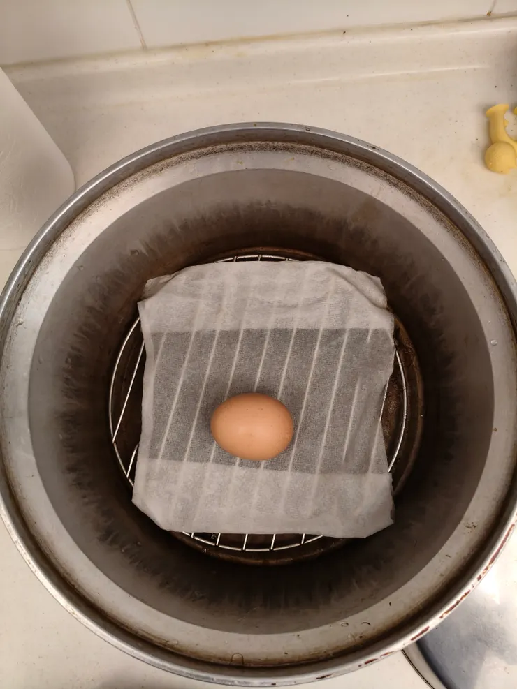 將常溫雞蛋放在在濕透的紙巾上