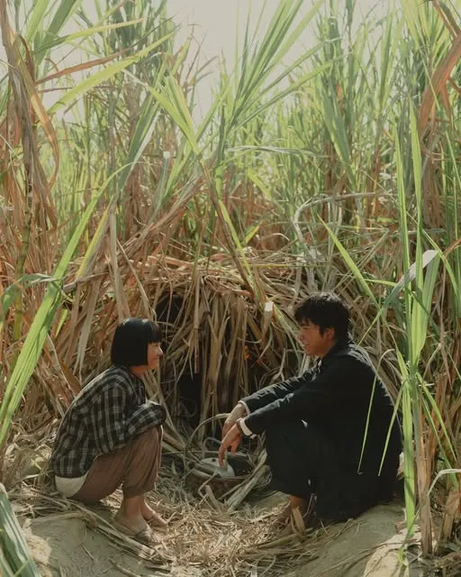 劇照來源：華文創