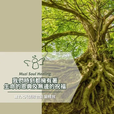 ｜IET大天使綜合能量釋放🪽先祖血脈印記｜