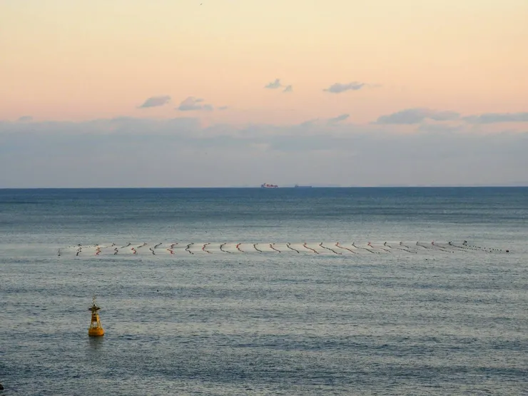 車廂內望去的海景