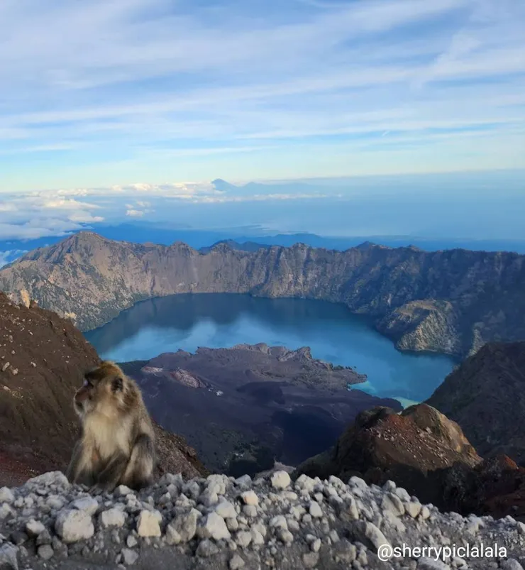 跟猴子一起爬山!