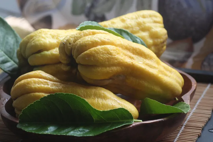 佛手，被譽為「香中君子」，因清香與具有禪意的造型，深受文人喜愛，經常擺在案牘，供玩賞聞香的清物。