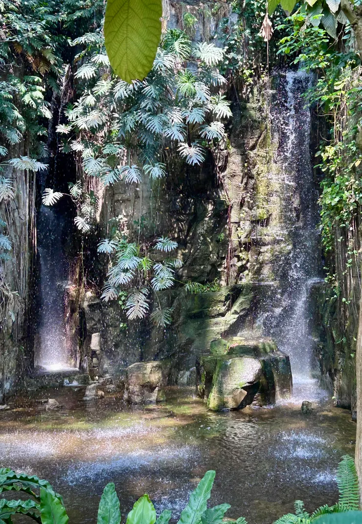 （台中植物園）