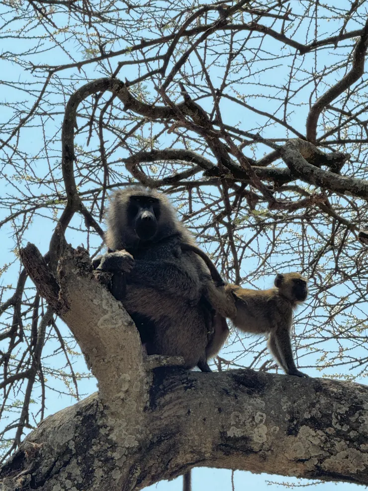 就問這姿勢是什麼意思?