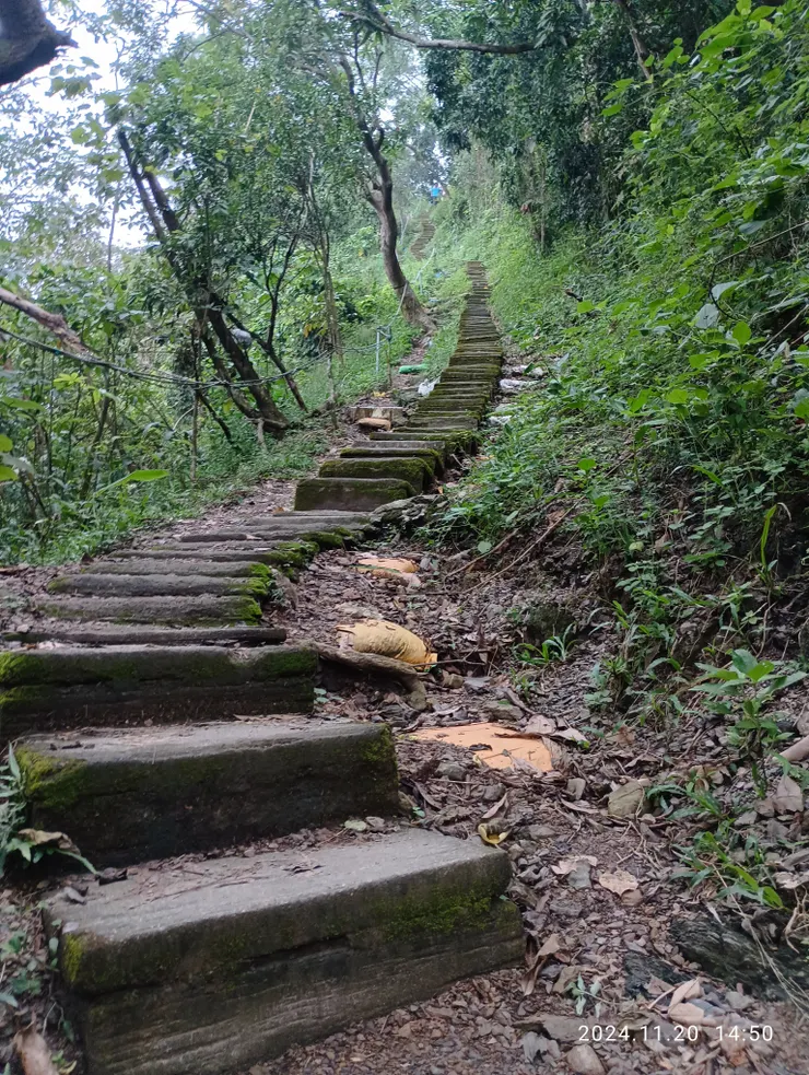 曼妙扶我登天梯