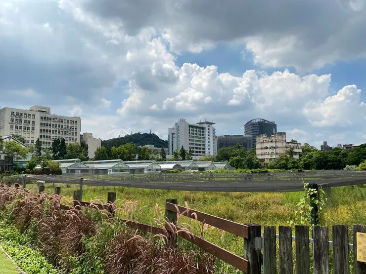 台大實驗農場