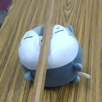 心理系照姐的沙龍