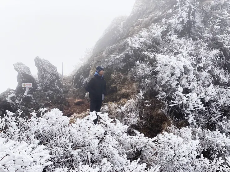 日本大分-由布岳 || 分岔口(マタエ)