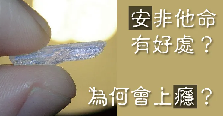 粉絲專頁