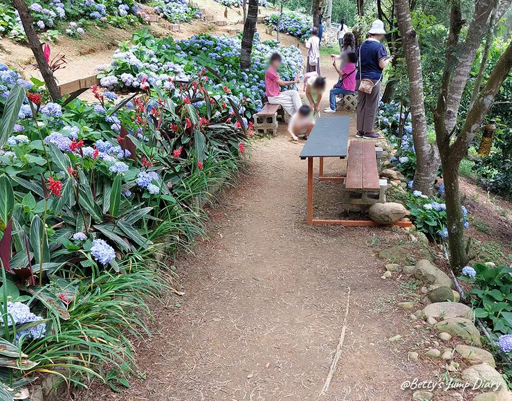 ▲桃園龍潭「穧粑崠咖啡農場」、「越軌咖啡」/ 圖片來源：Betty's Jump Diary