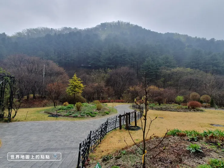 晨靜樹木園景色
