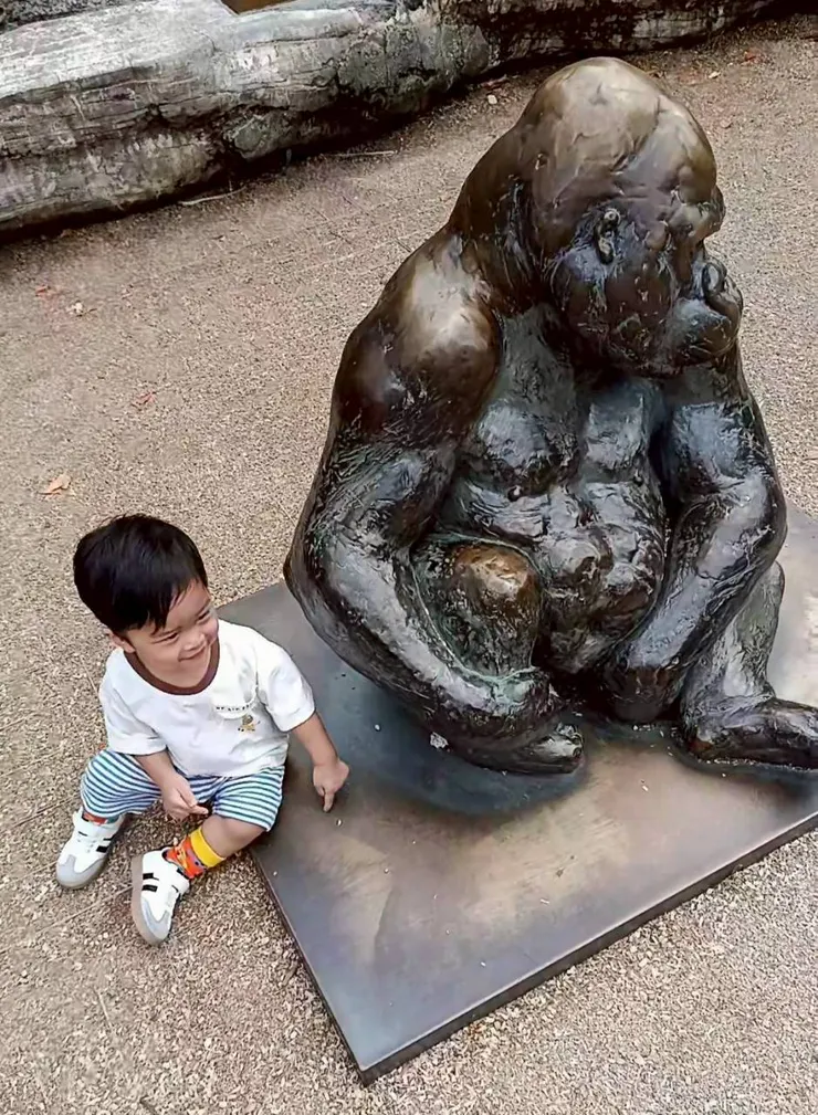 其實我也蠻問號的,珍豬好像很喜歡這隻猩猩🤣