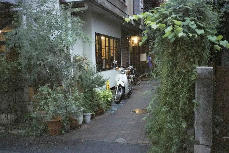 Olympus XA - FUJI 500D