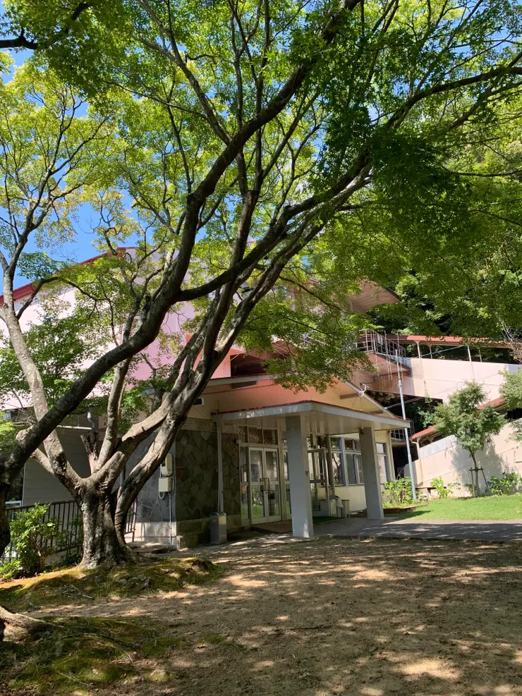 5、6棵楓樹圍成一圈,樹下有兩個長椅,很棒的乘涼處。