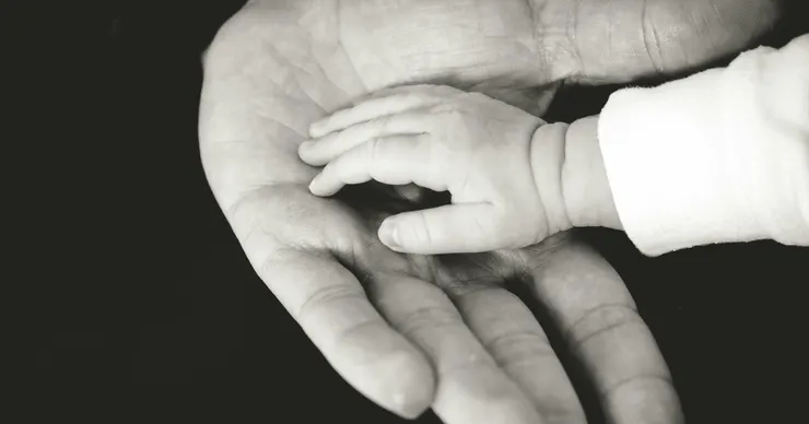 Photo by Liane Metzler on Unsplash