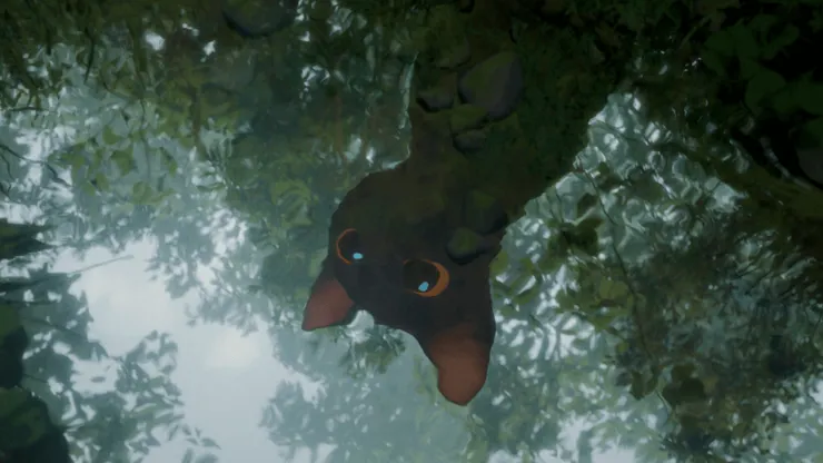 圖片來源：網路