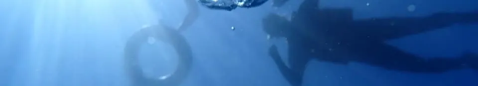 犀牛RyanRhinoz的沙龍