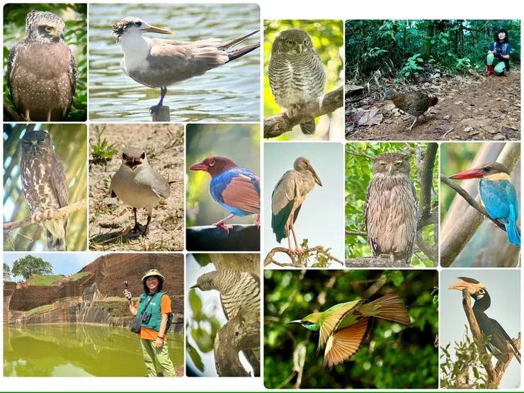 圖14 繽紛鳥兒大頭照