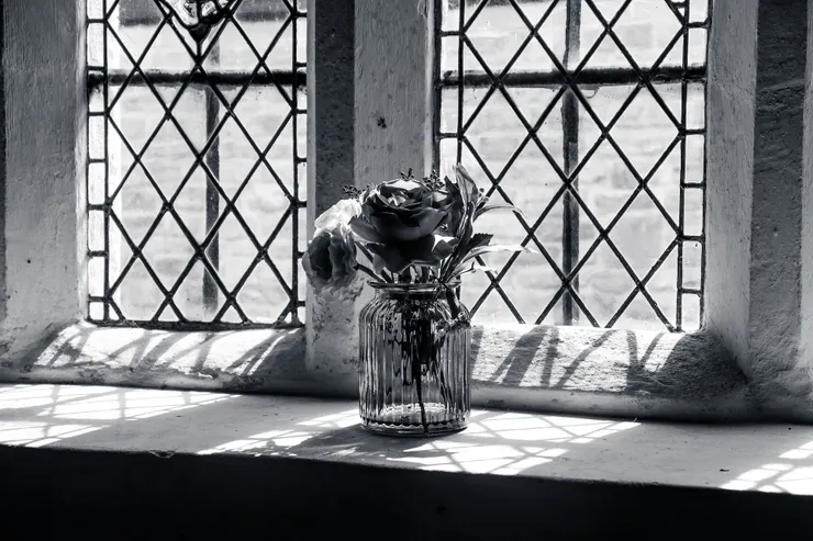 圖片來源：unsplash