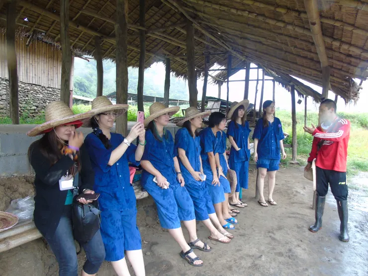 詳細介紹大象的生活習性