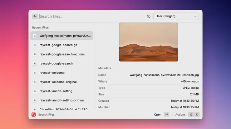 Search Files 功能的操作畫面