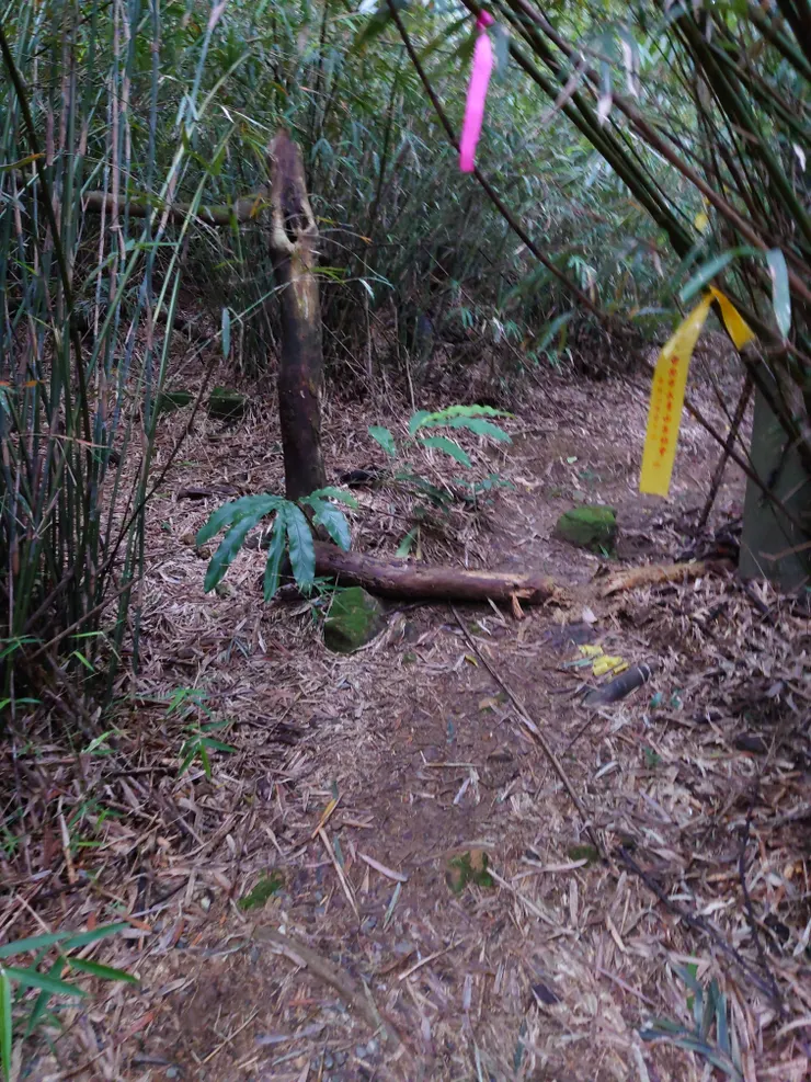 回頭看南榮山登山口