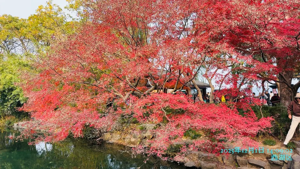 玩轉行樂跟著開薰GO